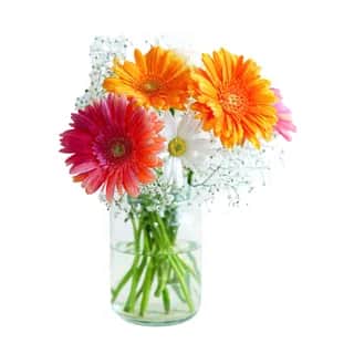 Flower, Fruit Basket, Balloon Delivery